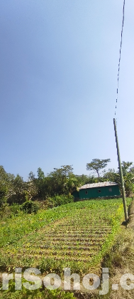 ৪ গন্ডা ২/৩ কড়া জায়গা আনোয়ারা বিক্রি হবে